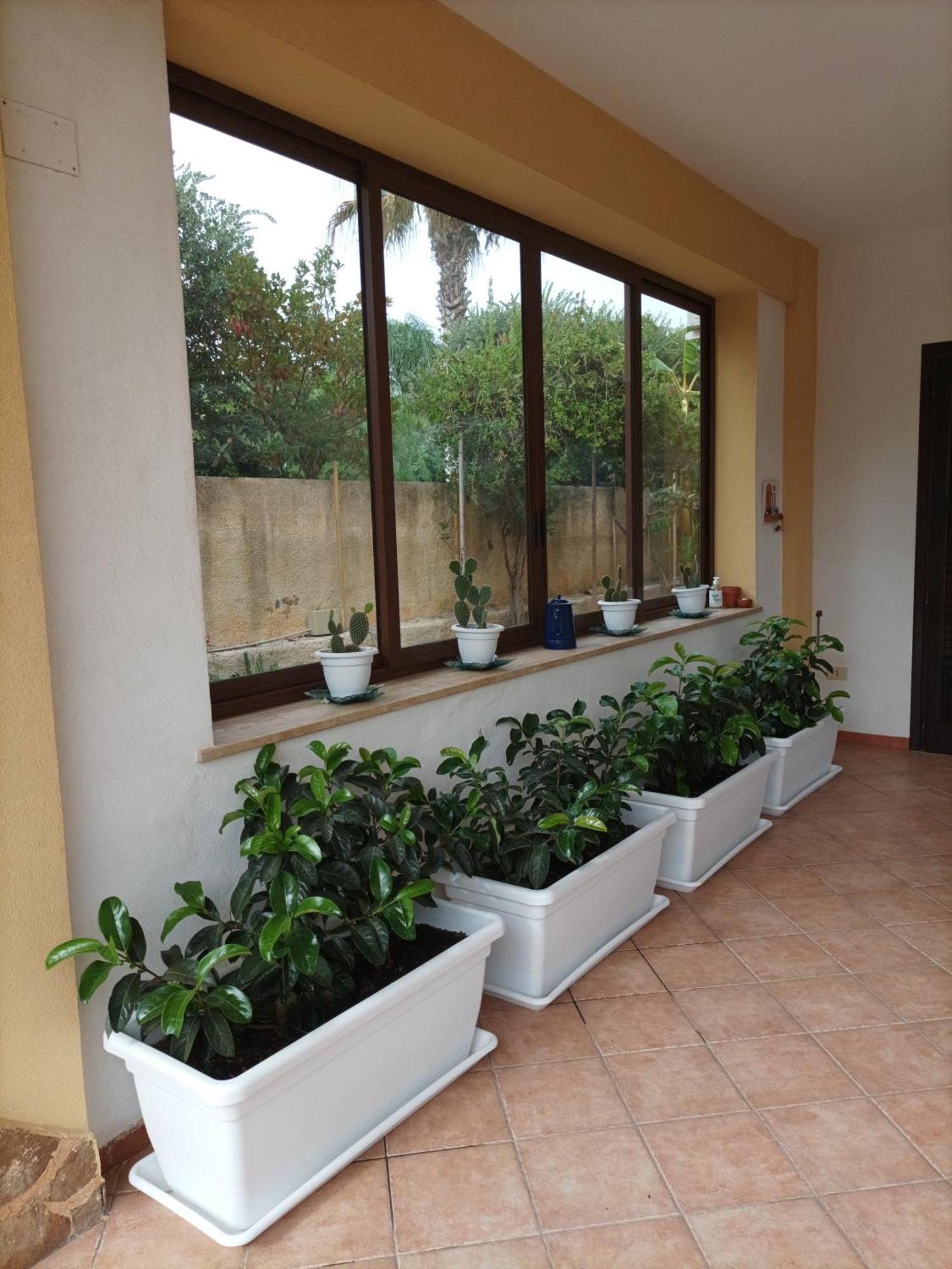 Acasammare Apartment Marsala Bagian luar foto